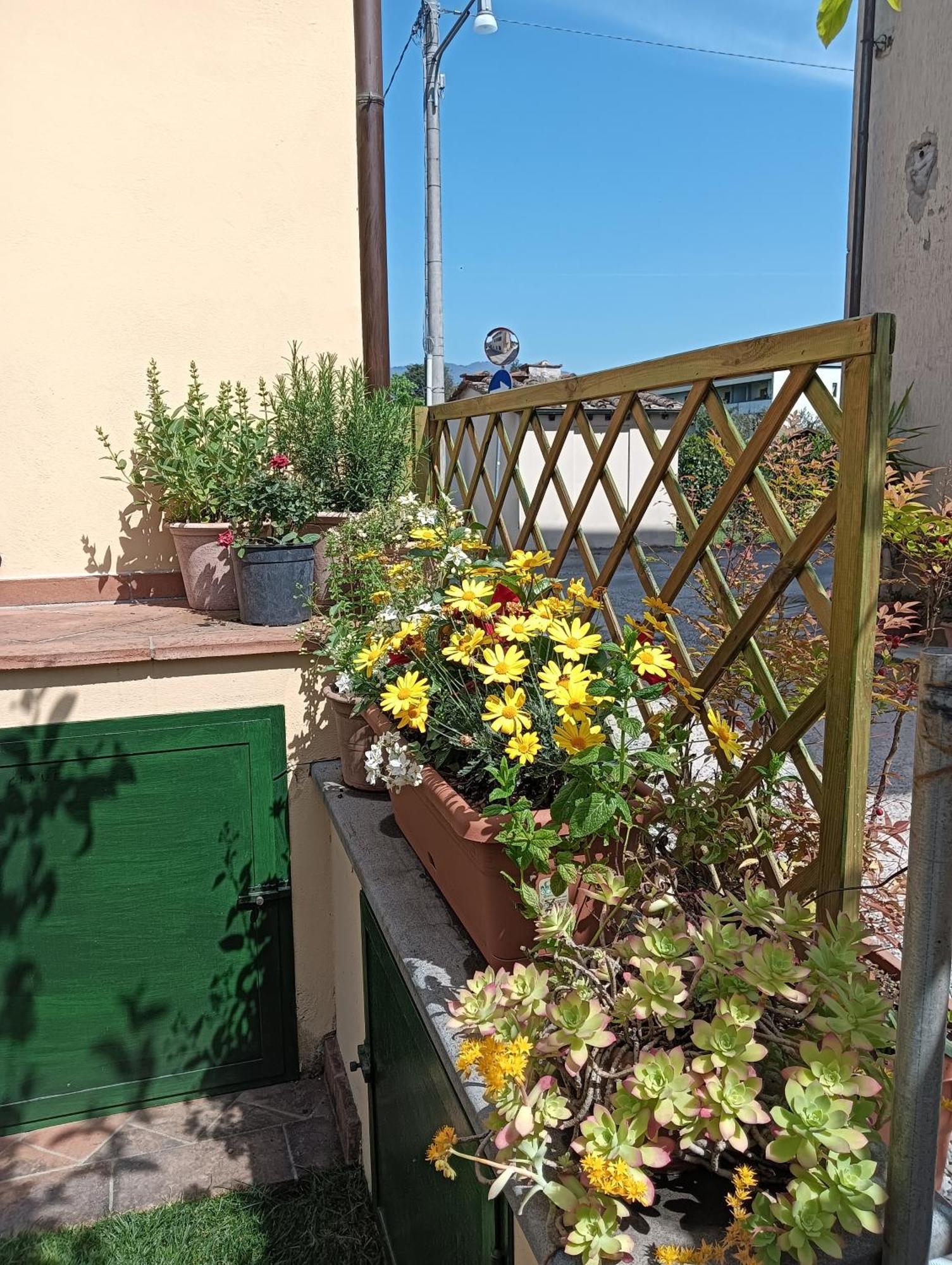 Casa Vacanze Rustico Di Corte Capannori Exterior foto