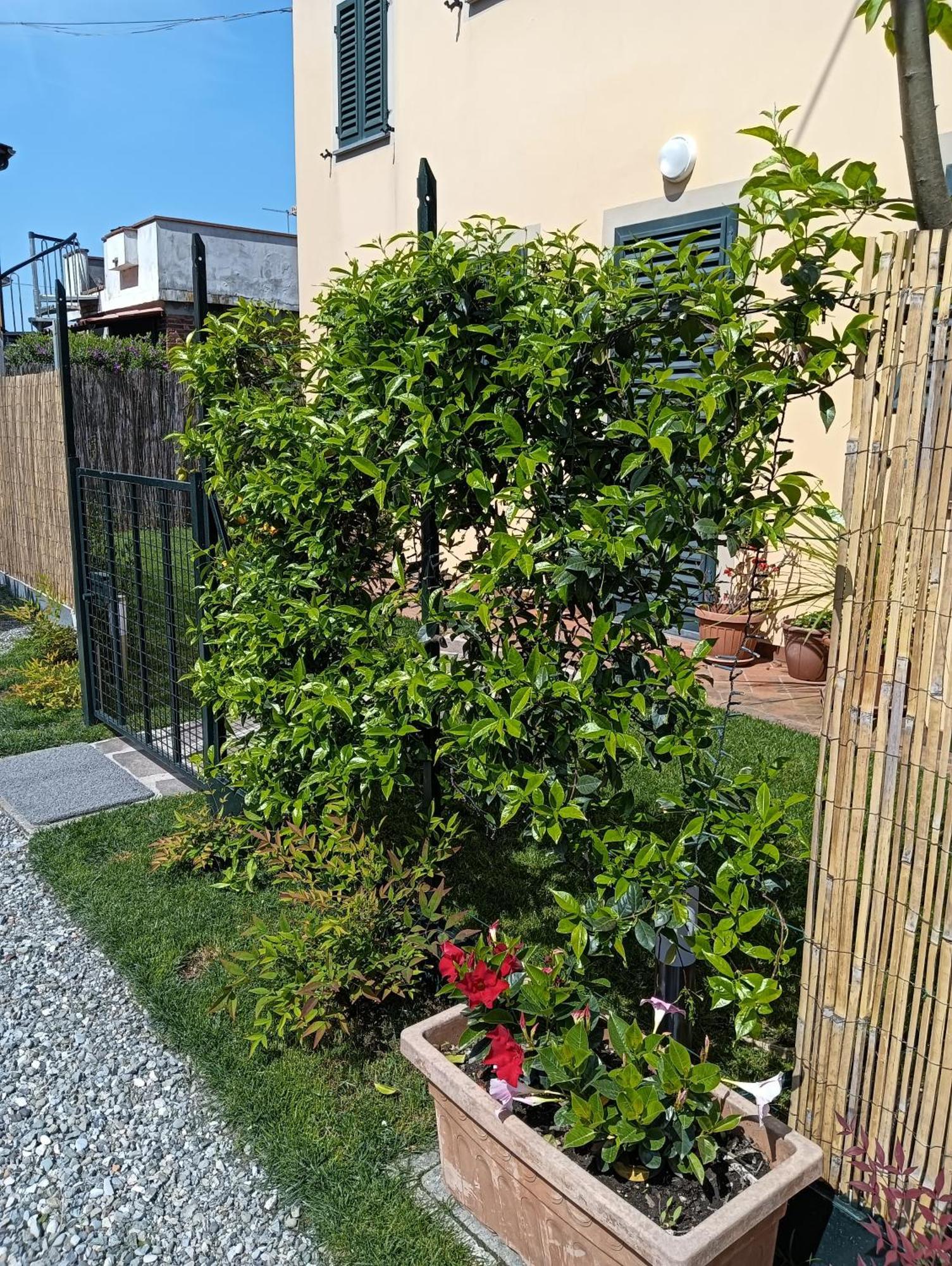 Casa Vacanze Rustico Di Corte Capannori Exterior foto